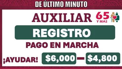 Ariadna Montiel Reyes ¡Adultos Mayores del Bienestar, registren a un Auxiliar para Asistencia en Trámites!